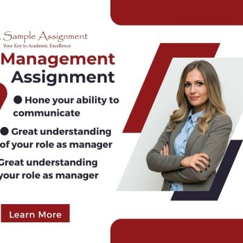 management assignment help