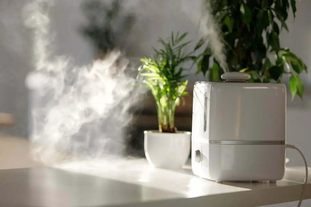 mooka-vs-koios-air-purifier