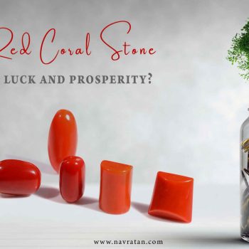 red-coral-stone-brings-luck-and-prosperity-871414_l