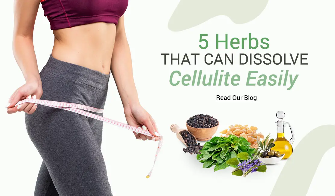 5-Herbs-that-can-dissolve-cellulite-easily