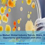 Anti-Infectives Market_11zon