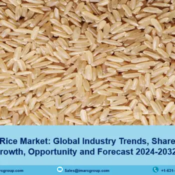 Brown Rice Market