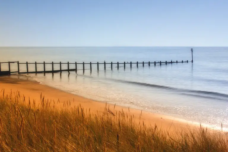 A deserted bridge leading into water in a quiet coastal area