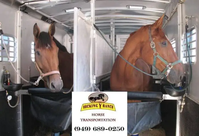 Cost to transport a horse in California  Rocking Y Ranch