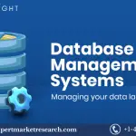 Database Management System (DBMS) Market