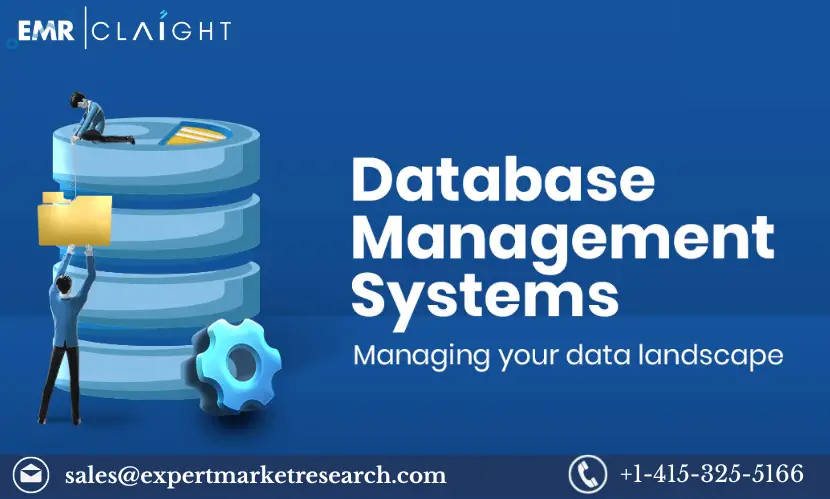 Database Management System (DBMS) Market