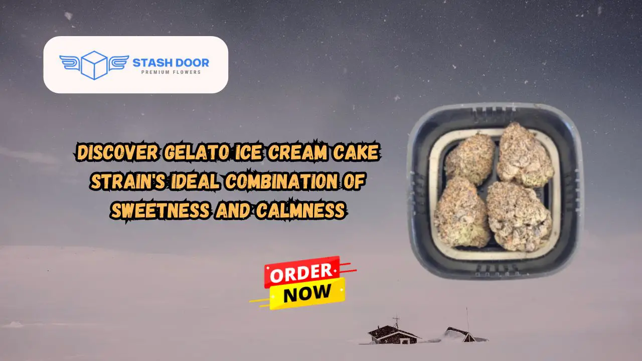 Discover Gelato Ice Cream Cake Strain's Ideal Combination of Sweetness and Calmness