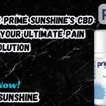 Discover Prime Sunshine's CBD Roll-On Your Ultimate Pain Relief Solution