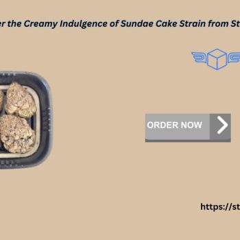 Discover the Creamy Indulgence of Sundae Cake Strain from Stash Door