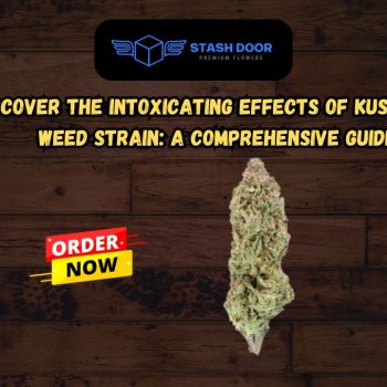 Discover the Intoxicating Effects of Kush Mintz Weed Strain A Comprehensive Guide