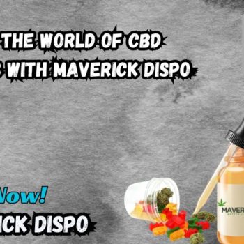 Discover the World of CBD Products with Maverick Dispo