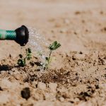 Drip Irrigation