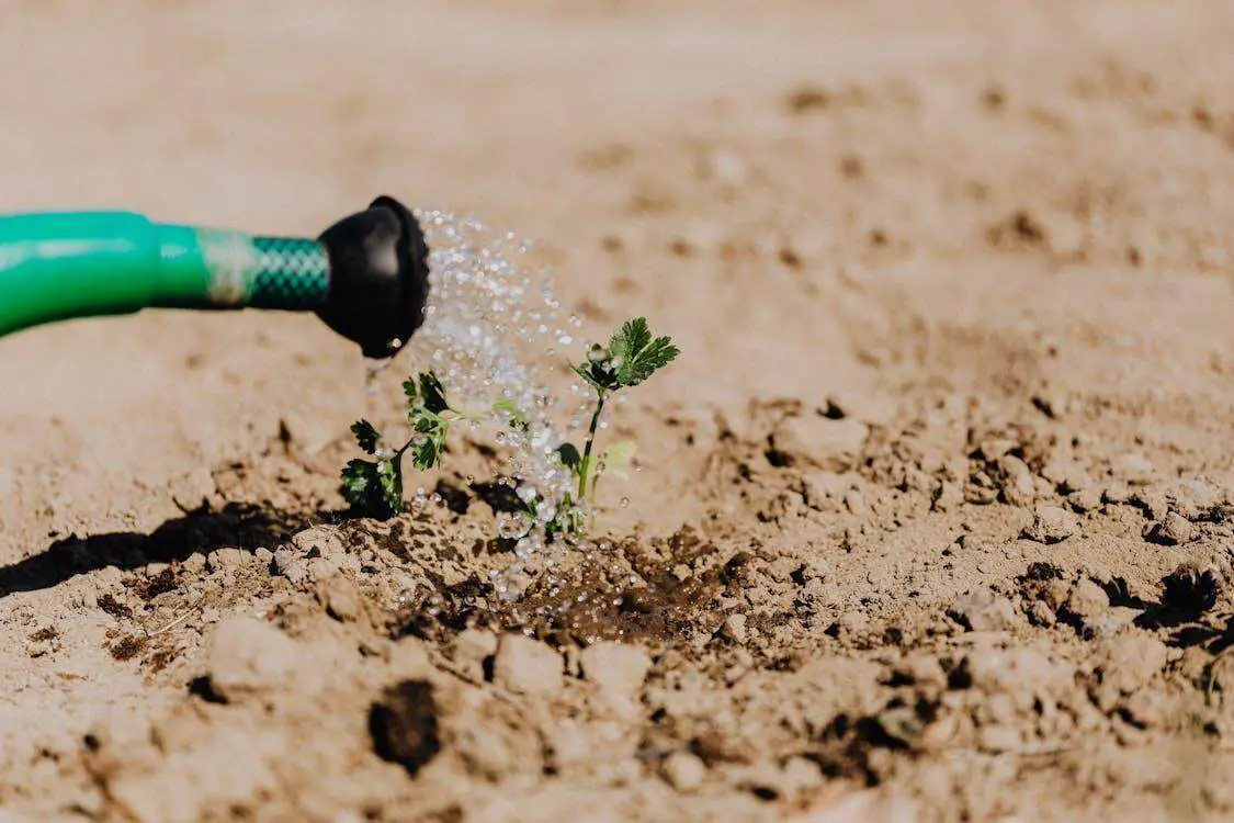 Drip Irrigation