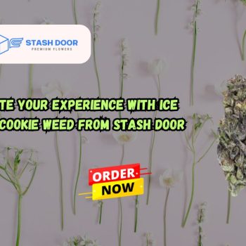 Elevate Your Experience with Ice Cream Cookie Weed from Stash Door