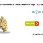 Experience the Remarkable Oreoz Strain with High THCa at Stash Door.