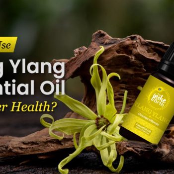 How-To-Use-Ylang-Ylang-Essential-Oil-For-Better-Health-1100x645