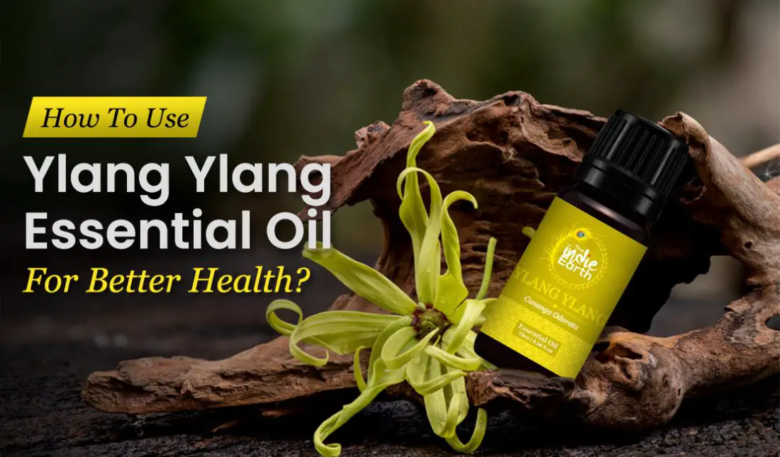 How-To-Use-Ylang-Ylang-Essential-Oil-For-Better-Health-1100x645
