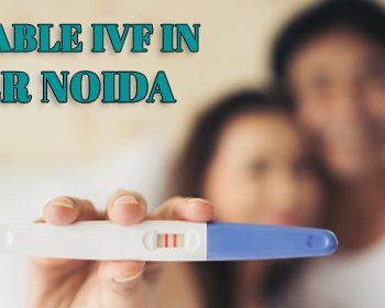 IVF in Noida