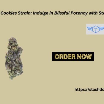 Ice Cream Cookies Strain Indulge in Blissful Potency with Stash Door