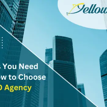 Key Things You Need to Know Selecting an SEO Agency