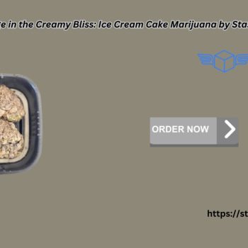 Indulge in the Creamy Bliss Ice Cream Cake Marijuana by Stash Door