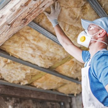 Insulation Removal Services