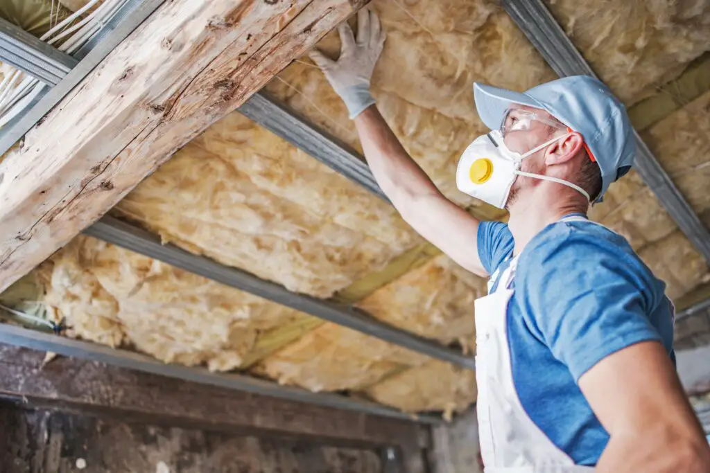 Insulation Removal Services