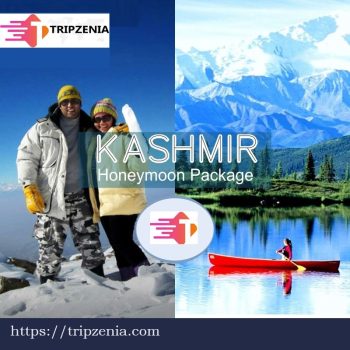 Jammu and Kashmir Honeymoon Tour Package