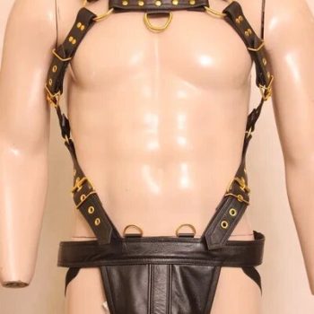 Leather harness 2