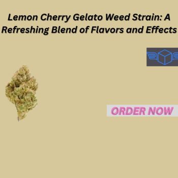 Lemon Cherry Gelato Weed Strain A Refreshing Blend of Flavors and Effects