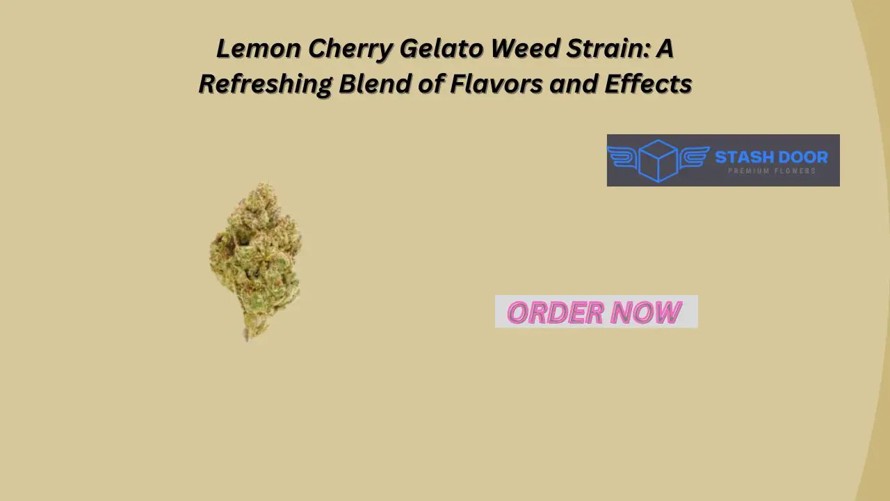 Lemon Cherry Gelato Weed Strain A Refreshing Blend of Flavors and Effects