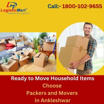 Movers and Packers in Ankleshwar