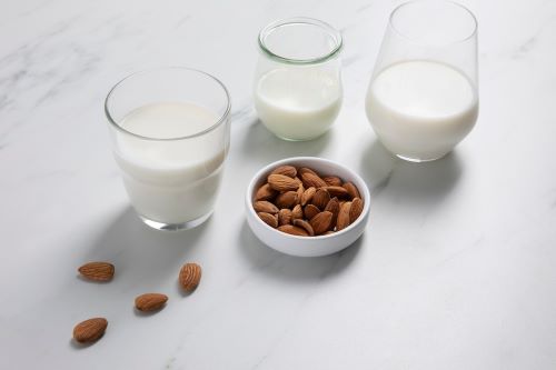 Non-Fat Dry Milk Market Report