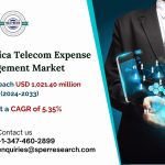 North America Telecom Expense Management Market