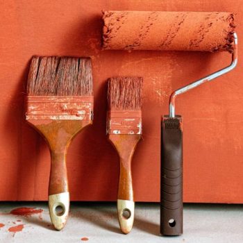 Paint Roller or Paint Brush