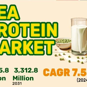 Pea Protein Market