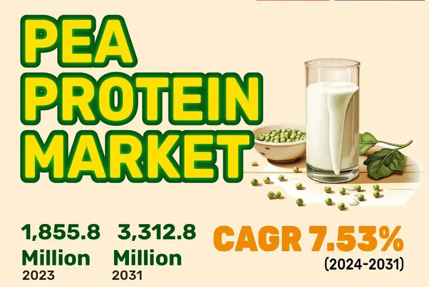 Pea Protein Market