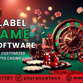 Plurance - WhiteLabel BC.Game Clone Software