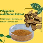 Polygonum-multiflorum-Extract