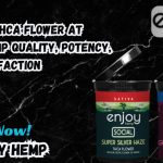 Premium THCA Flower at Enjoy Hemp Quality, Potency, and Satisfaction