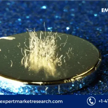 Rare Earth Magnet Market