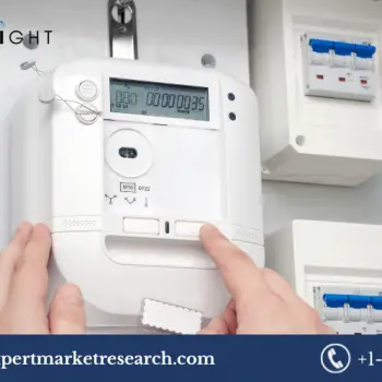 Smart Electric Meter Market