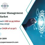 Telecom Expense Management Market
