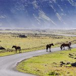 The 8 most beautiful national parks in Chile