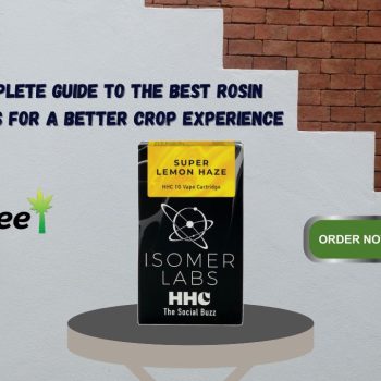 The Complete Guide to the Best Rosin Cartridges for a Better Crop Experience