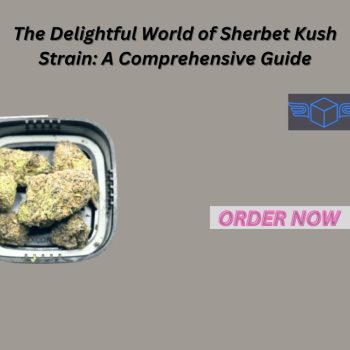 The Delightful World of Sherbet Kush Strain A Comprehensive Guide