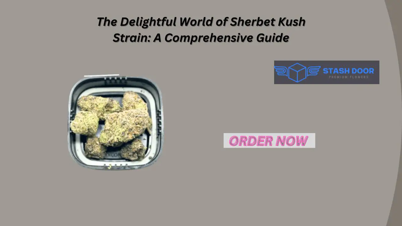 The Delightful World of Sherbet Kush Strain A Comprehensive Guide