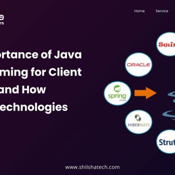 The Importance of Java Programming for Client Projects