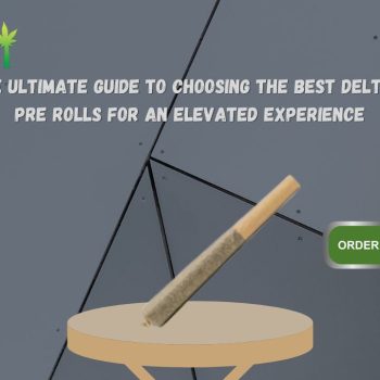 The Ultimate Guide to Choosing the Best Delta 8 Pre Rolls for an Elevated Experience