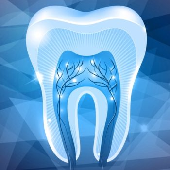 Tooth Regeneration
